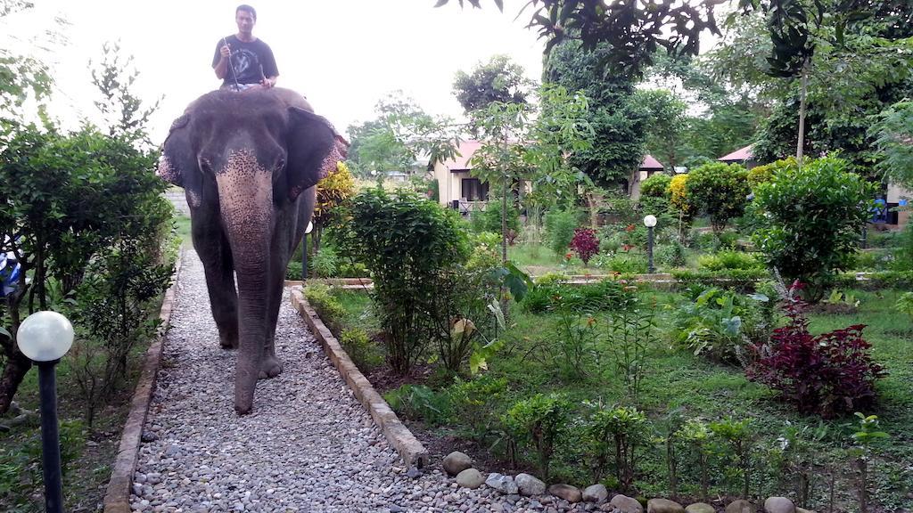 Chitwan Safari Camp & Lodge Sauraha Dış mekan fotoğraf