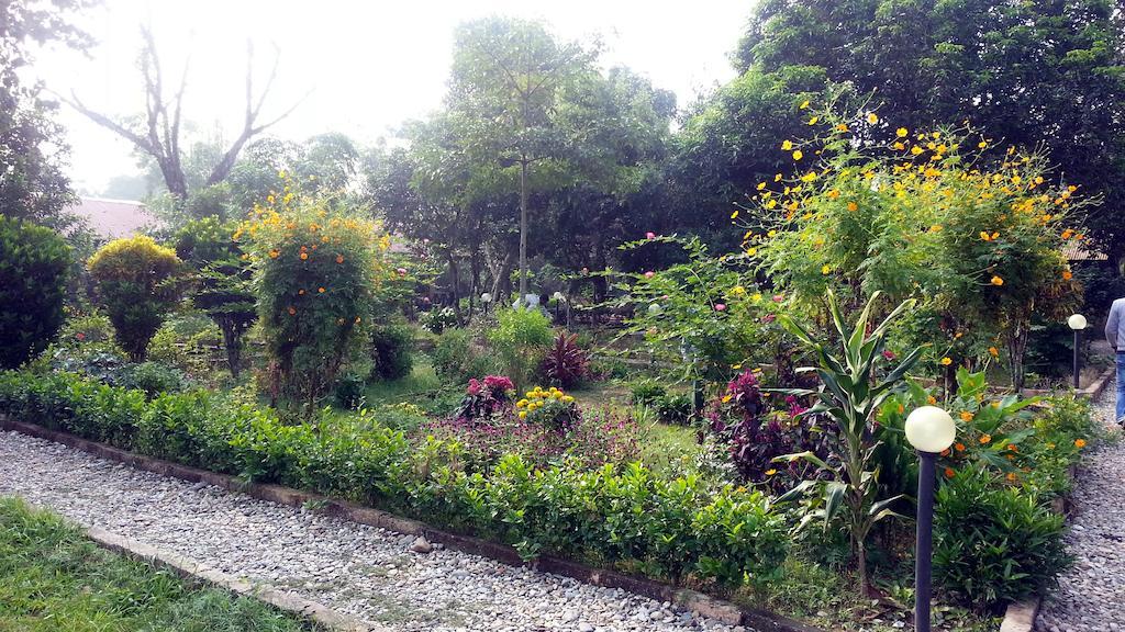 Chitwan Safari Camp & Lodge Sauraha Dış mekan fotoğraf