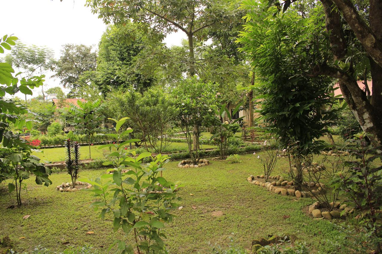 Chitwan Safari Camp & Lodge Sauraha Dış mekan fotoğraf