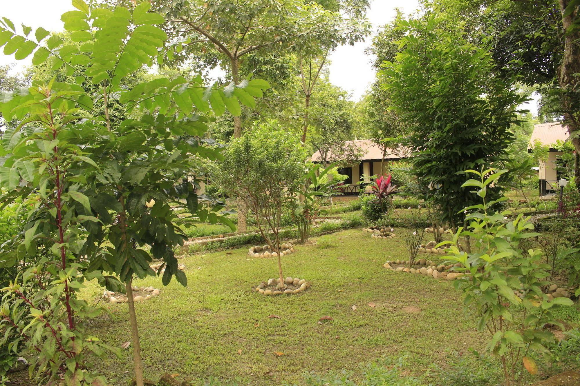 Chitwan Safari Camp & Lodge Sauraha Dış mekan fotoğraf